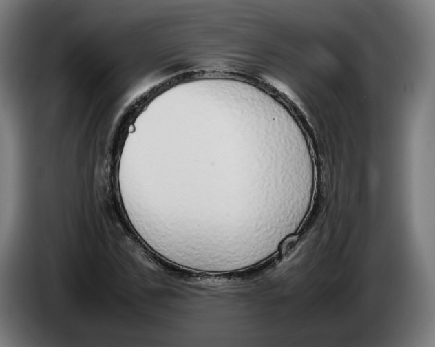 X0000086240971200704191817