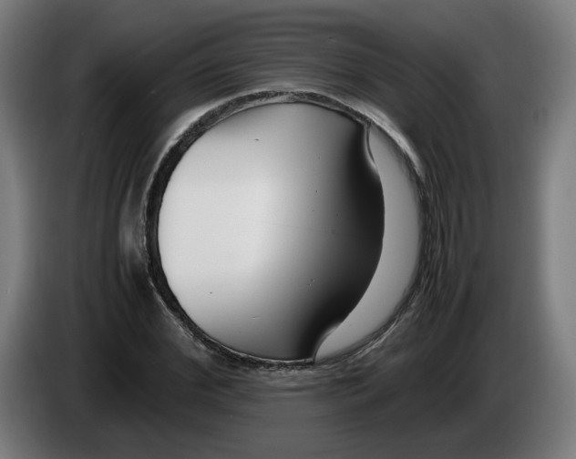 X0000086240972200704191817