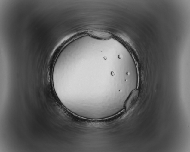 X0000086240973200704191817