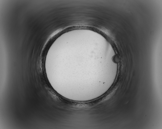 X0000086240974200704191817