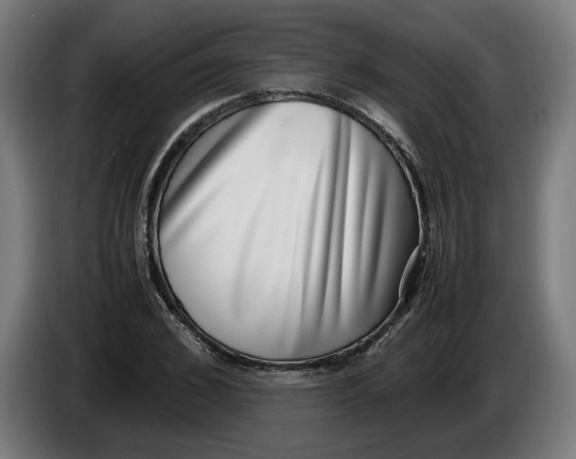 X0000086240976200704191817