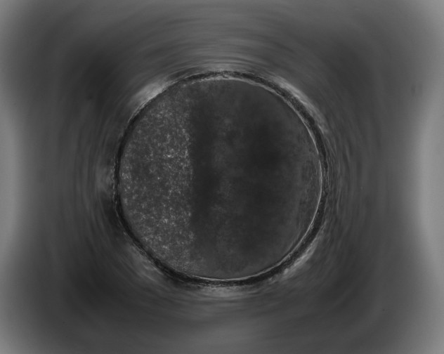 X0000086240977200704191817
