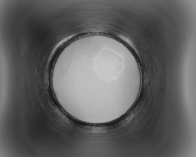 X0000086240979200704191817