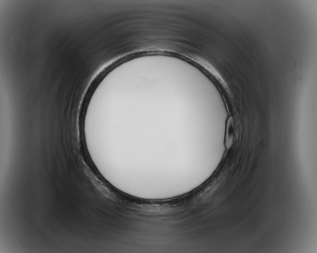 X0000086240980200704191817