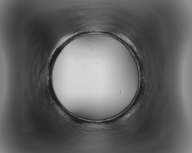 X0000086240981200704191817