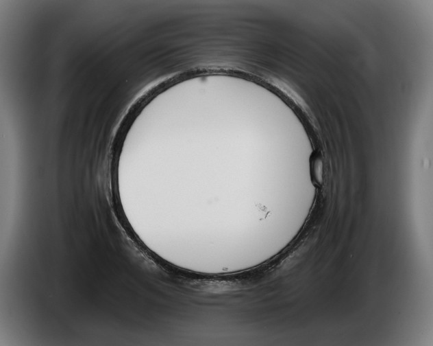 X0000086240984200704191817