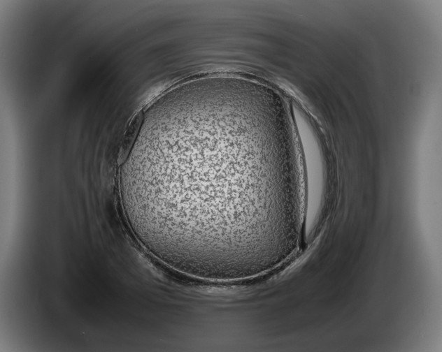 X0000086240985200704191817