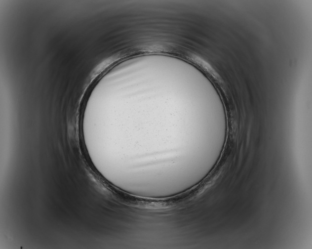 X0000086240986200704191817