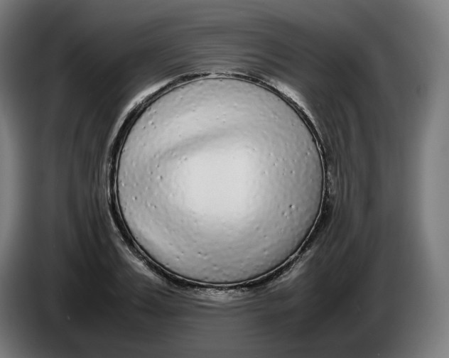 X0000086240987200704191817