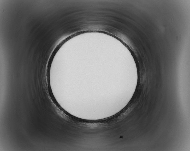 X0000086240988200704191817