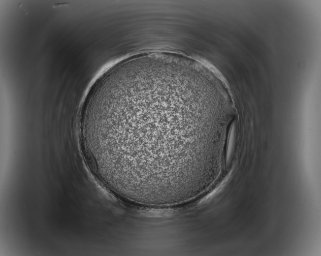 X0000086240989200704191817