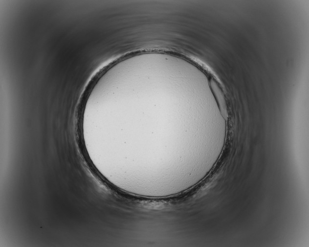 X0000086240991200704191817