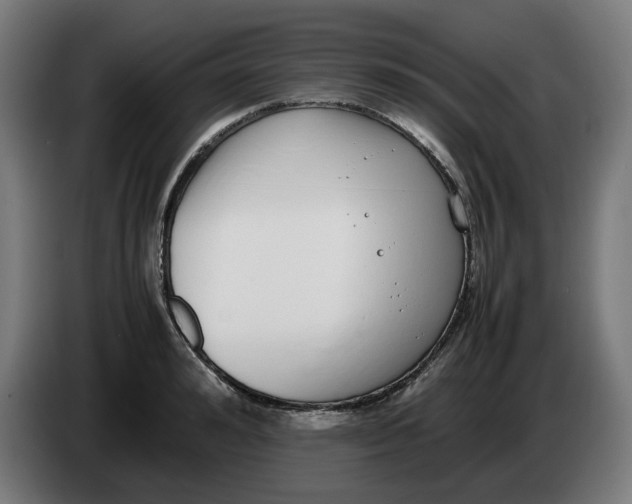X0000086240992200704191817