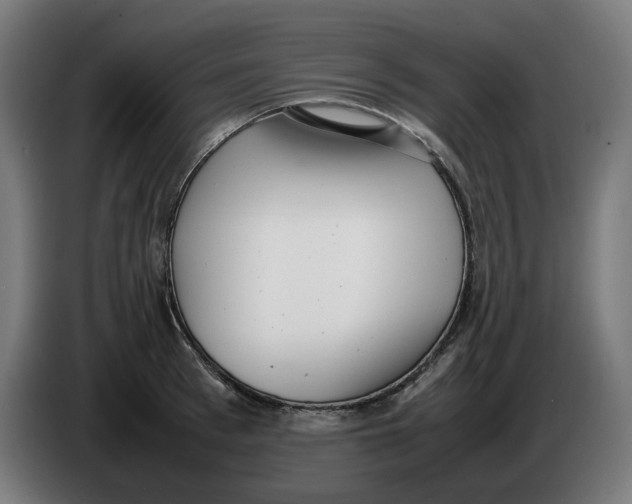 X0000086240993200704191817