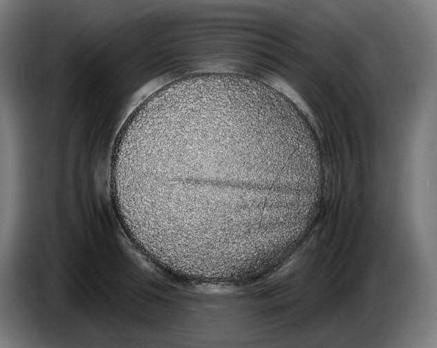 X0000086240994200704191817