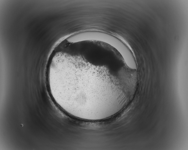 X0000086240995200704191817