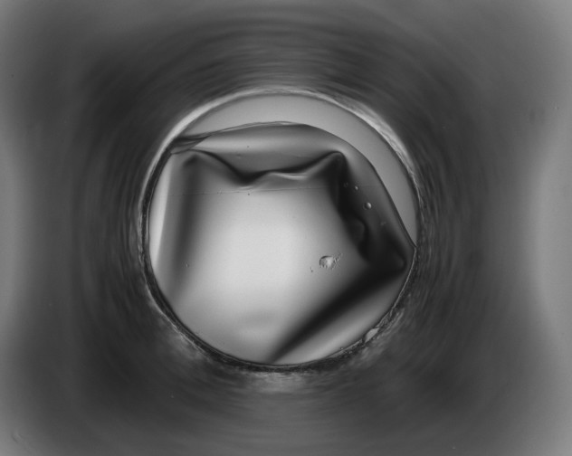 X0000086240996200704191817