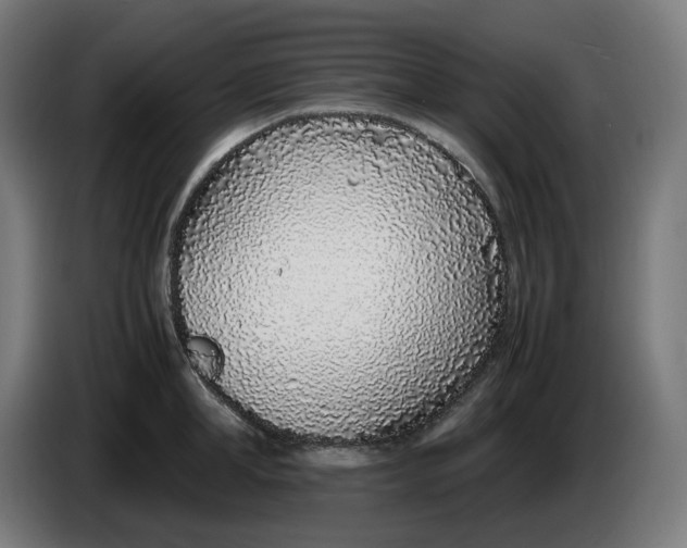 X0000086240998200704191817