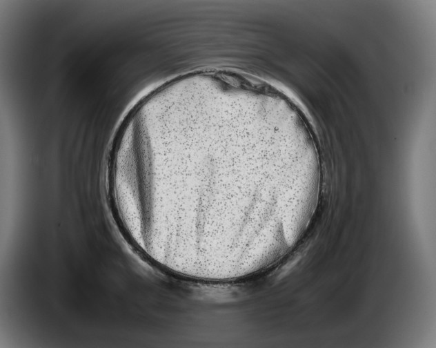 X0000086240999200704191817