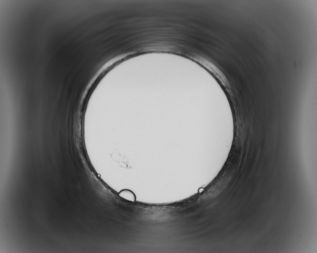 X0000086241000200704191817