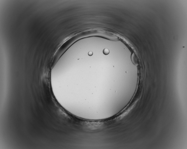 X0000086241001200704191817