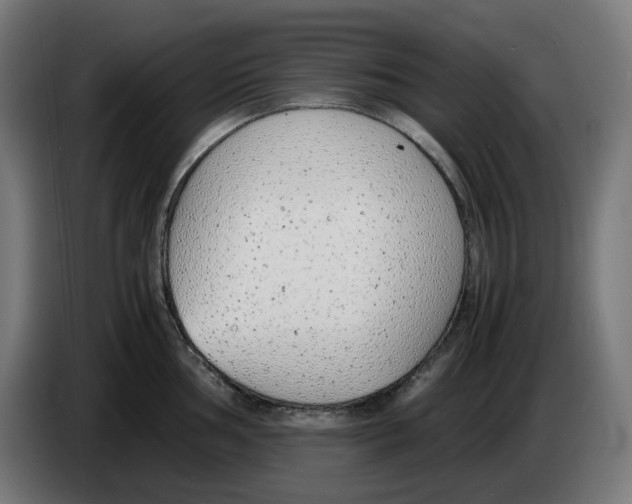 X0000086241002200704191817