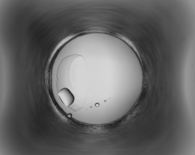 X0000086241003200704191817