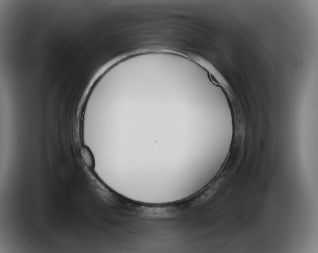 X0000086241004200704191817