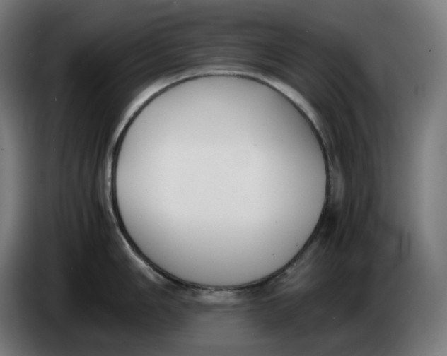 X0000086241006200704191817