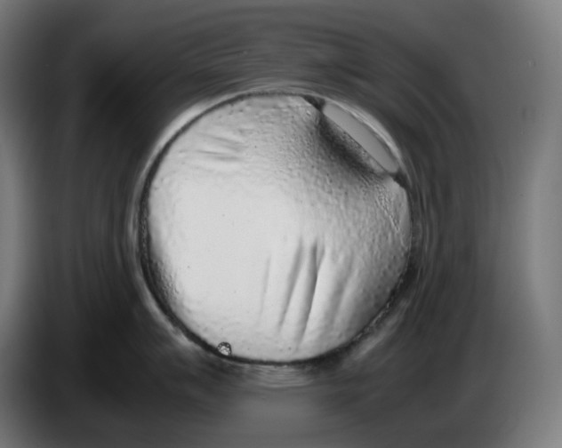 X0000086241007200704191817
