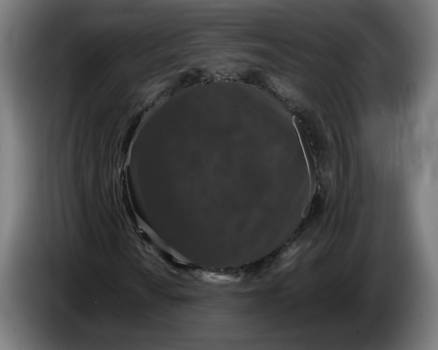 X0000086241010200704191816