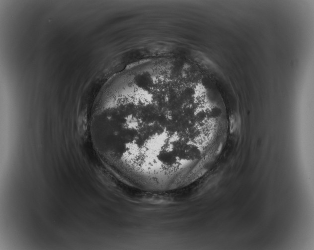 X0000086241011200704191816