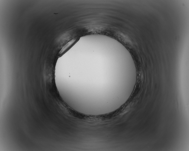 X0000086241012200704191816