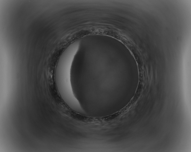 X0000086241013200704191816