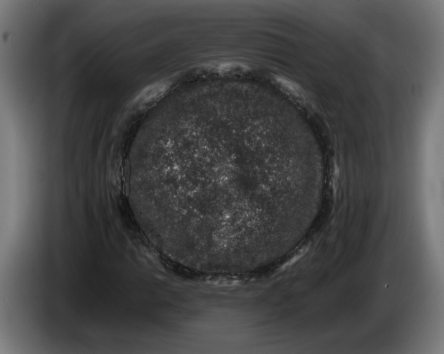 X0000086241014200704191816