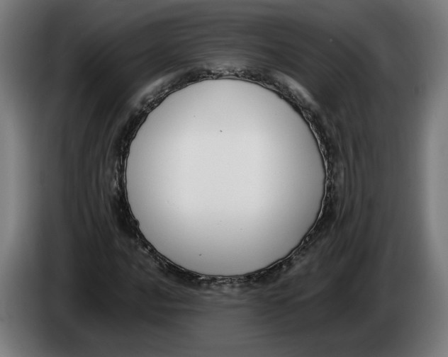 X0000086241016200704191816