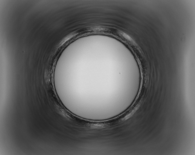 X0000086241017200704191816