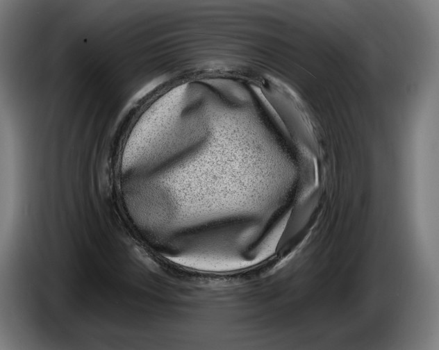 X0000086241018200704191816