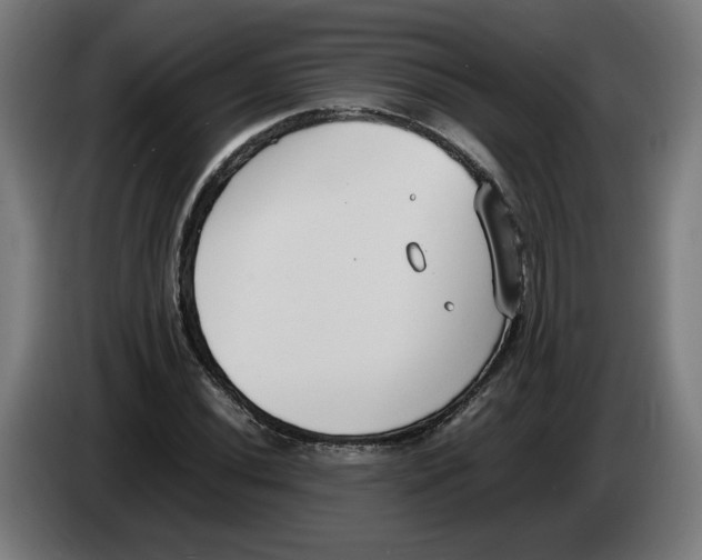 X0000086241020200704191816