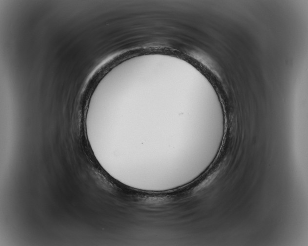 X0000086241021200704191816