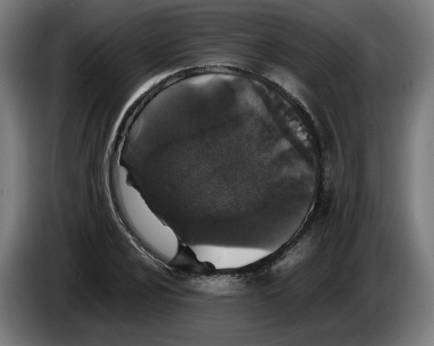 X0000086241024200704191816