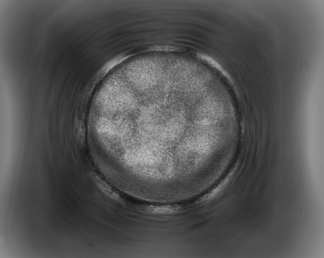 X0000086241025200704191816