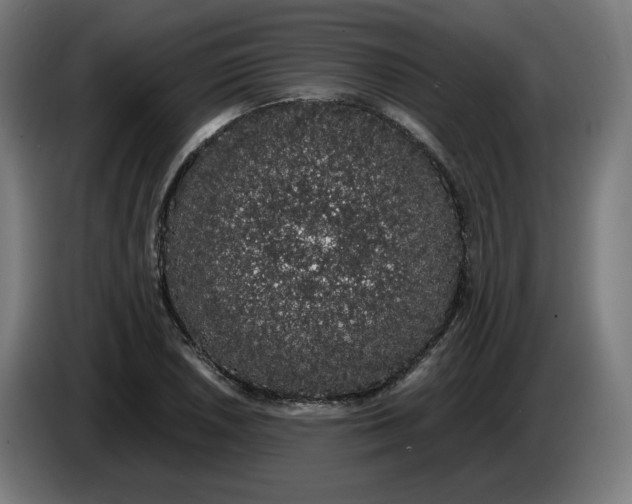 X0000086241026200704191816
