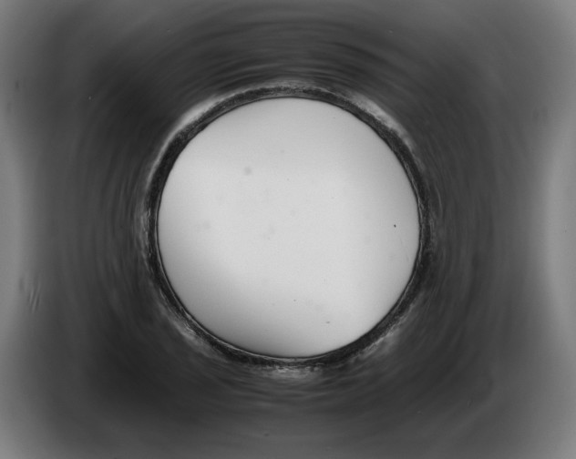 X0000086241029200704191816