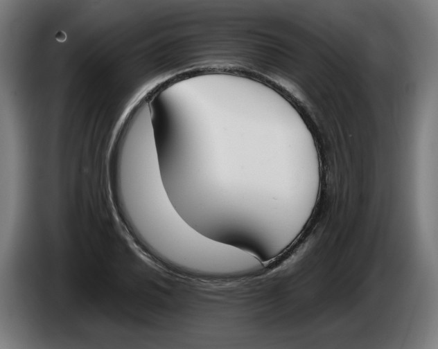 X0000086241030200704191816