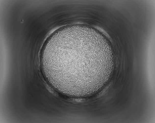 X0000086241031200704191816