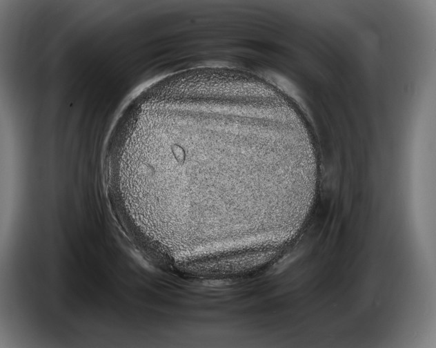 X0000086241035200704191817