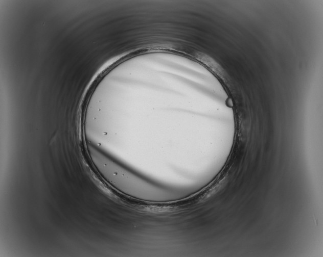 X0000086241036200704191817