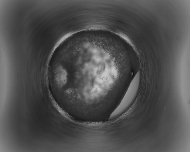 X0000086241038200704191817