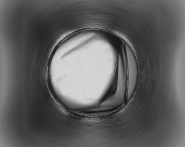 X0000086241040200704191817